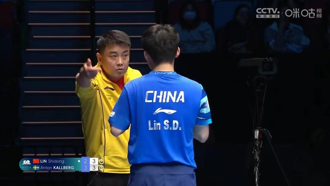 日本乒乓球队鏖战瑞典乒乓球队，王皓高光表现的简单介绍