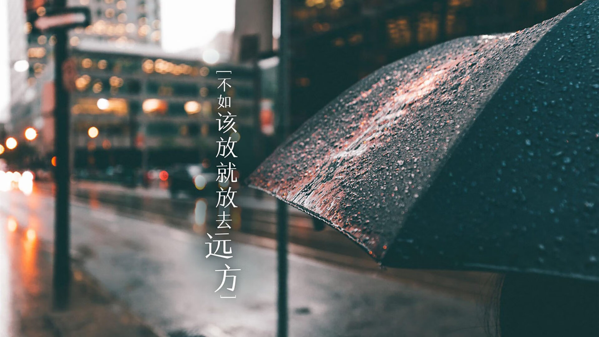绿茵绝杀与羽球烈焰，胜败之间的体育精神