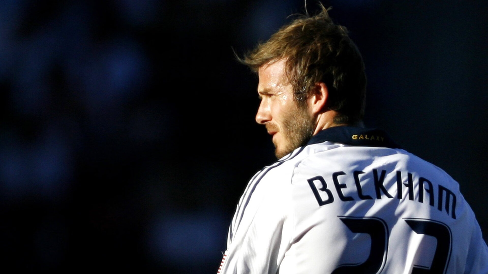 奥兰多绞肉机，鏖战多伦多，武切维奇巨塔统治记