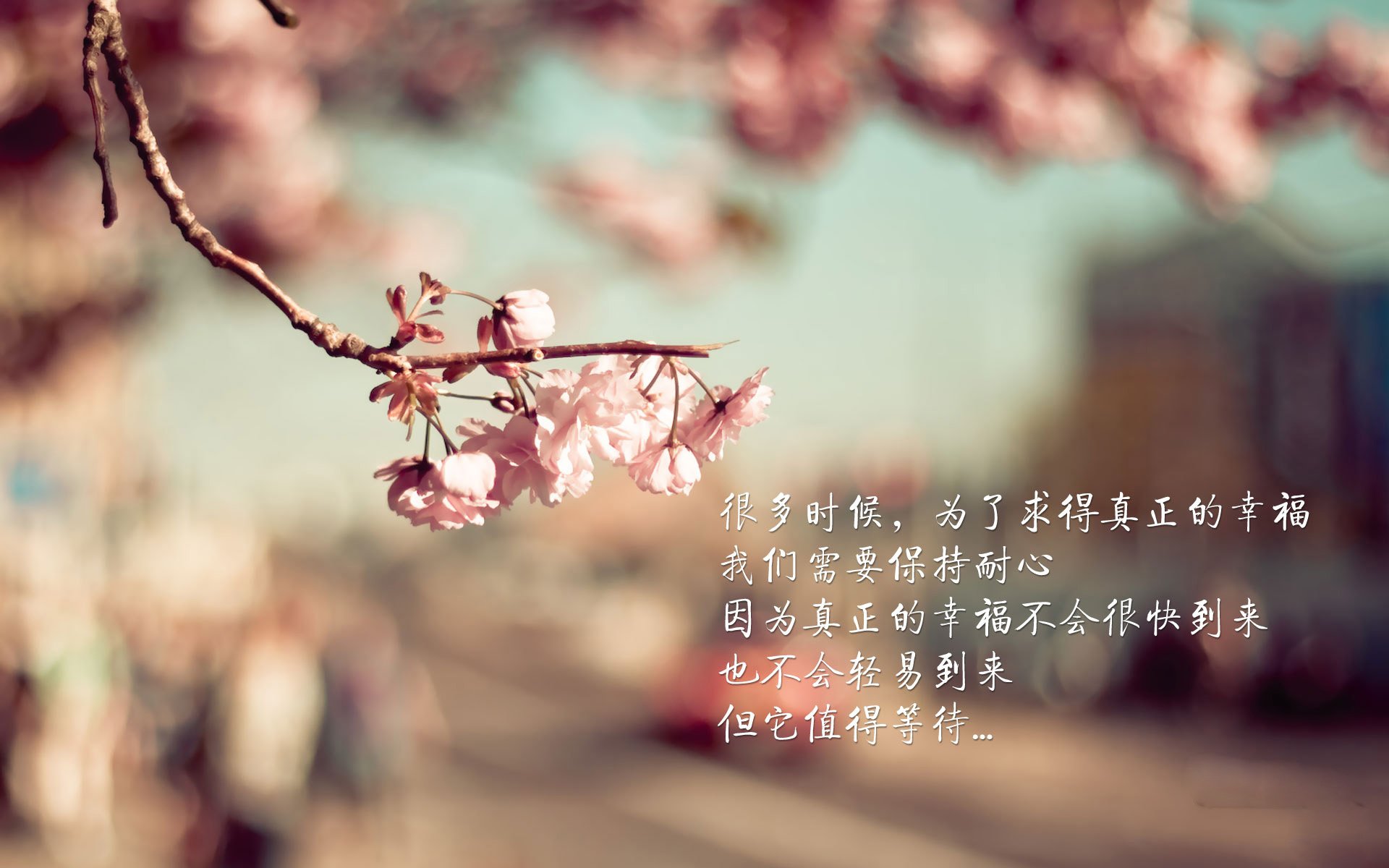 欧冠黑马诞生，比利时爆冷塞维利亚，巴雷拉淘汰赛接管比赛