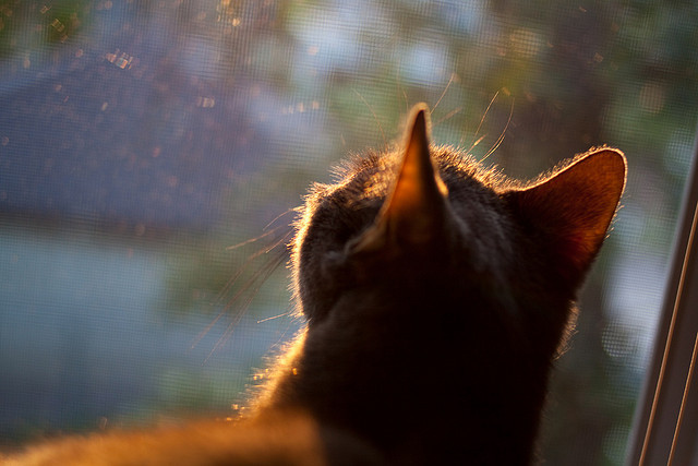冰原之息，绝对零度—关键先生贝恩的终局之鸣