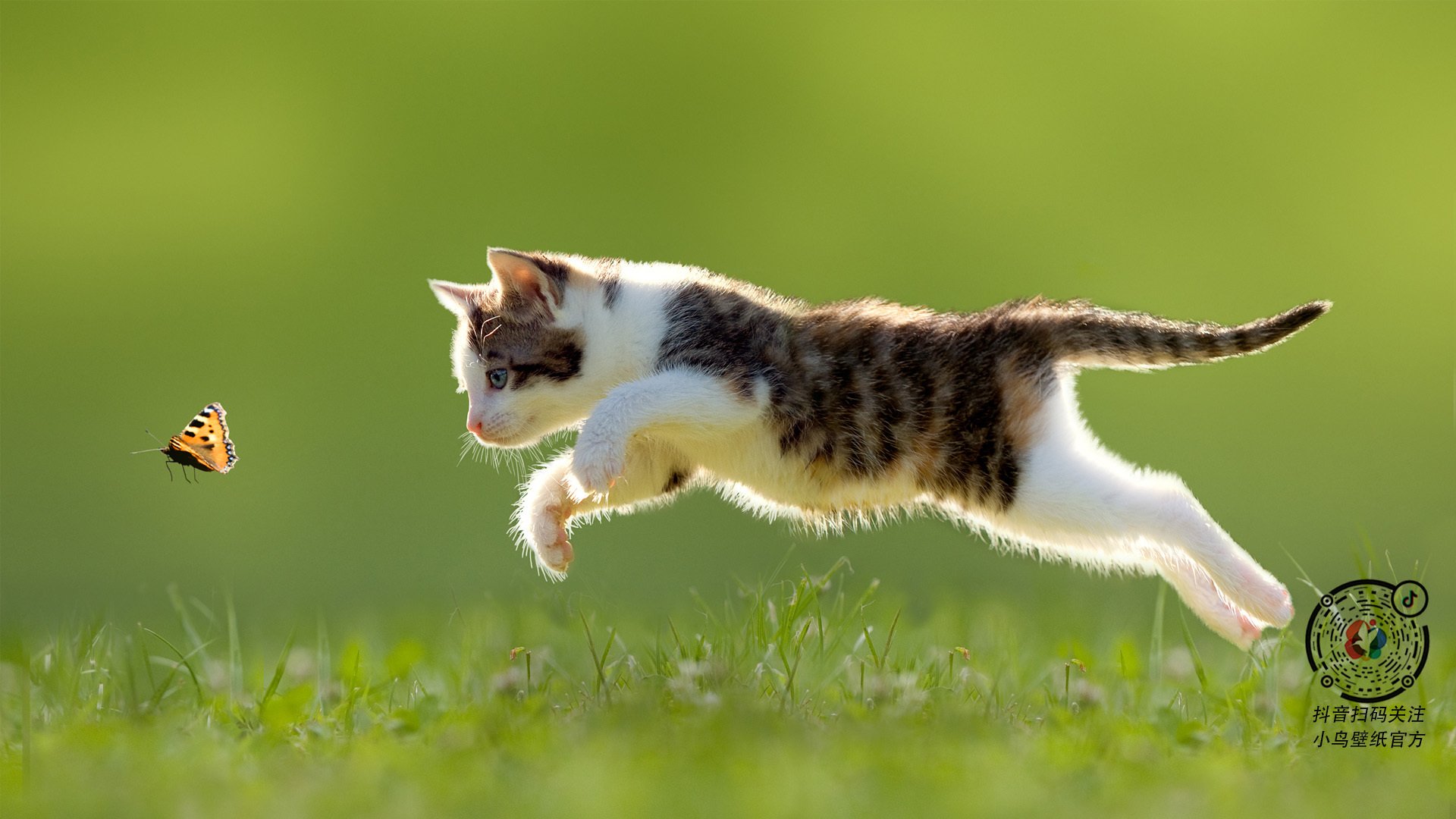 决胜局唯一英雄，阿克第119分钟改写历史，奥地利窒息式带走塞内加尔