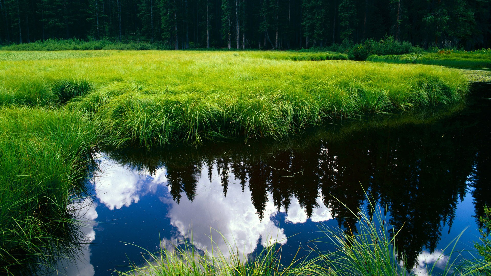 悬停的半场，三笘薰在74秒内让一个永恒瞬间提前降临