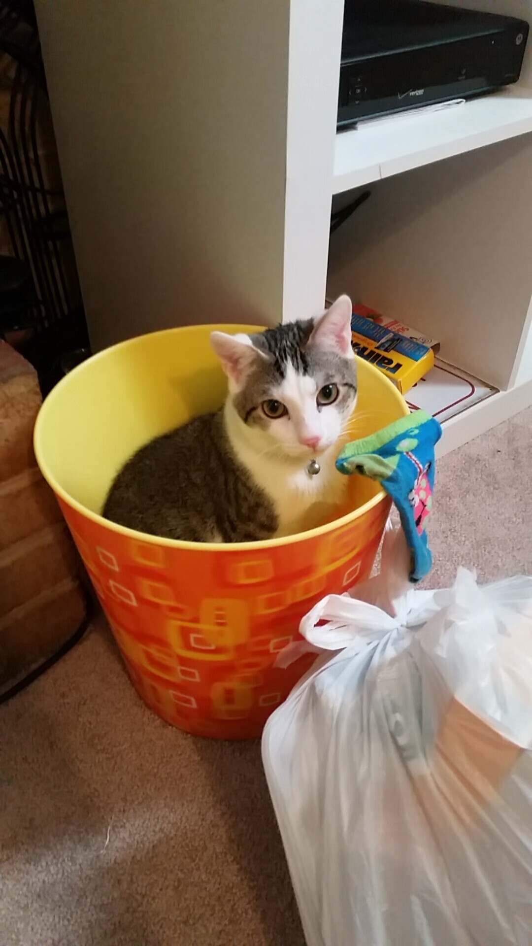 战术纸面，当加勒比海风席卷北非，库尔图瓦在布鲁塞尔应答