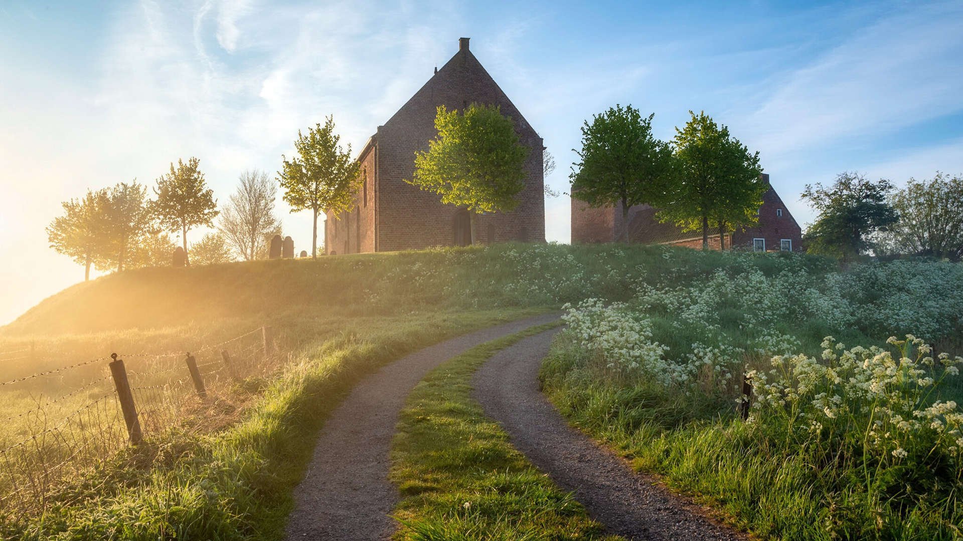 窒息式压制与一剑封喉，澳大利亚如何用团队绞索为关键先生莱奥搭建舞台