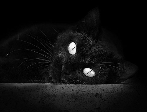 封喉一击与窒息一波流，莫兰特制胜时刻与掘金的完美收官