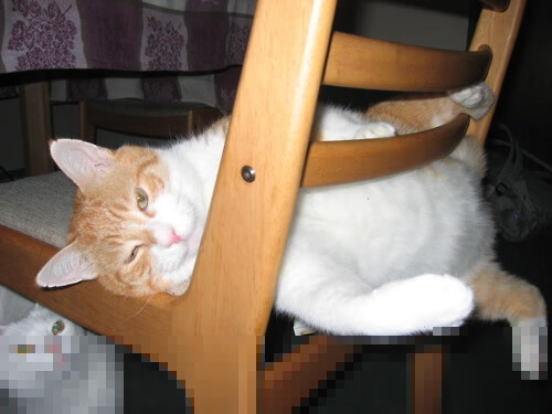 中场幻影,贝林厄姆如何用非典型进球终结世界排名争夺战?