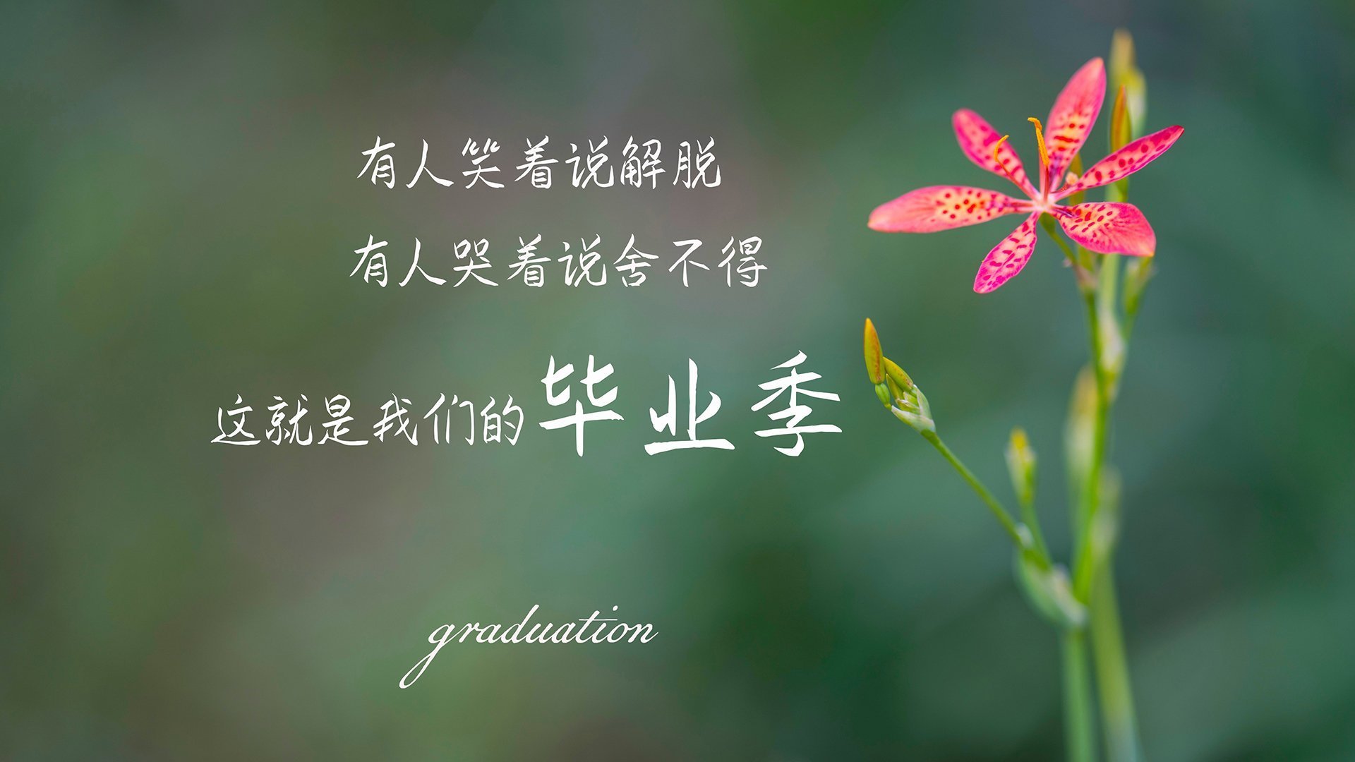 当切特成为算法终端，独行侠用神经元篮球在数据洪流中淘汰篮网