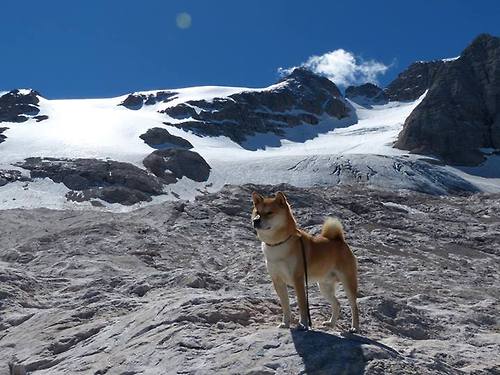 二十年轮回,公牛新王踩着爵士尸骸,复刻乔丹最后一投传奇