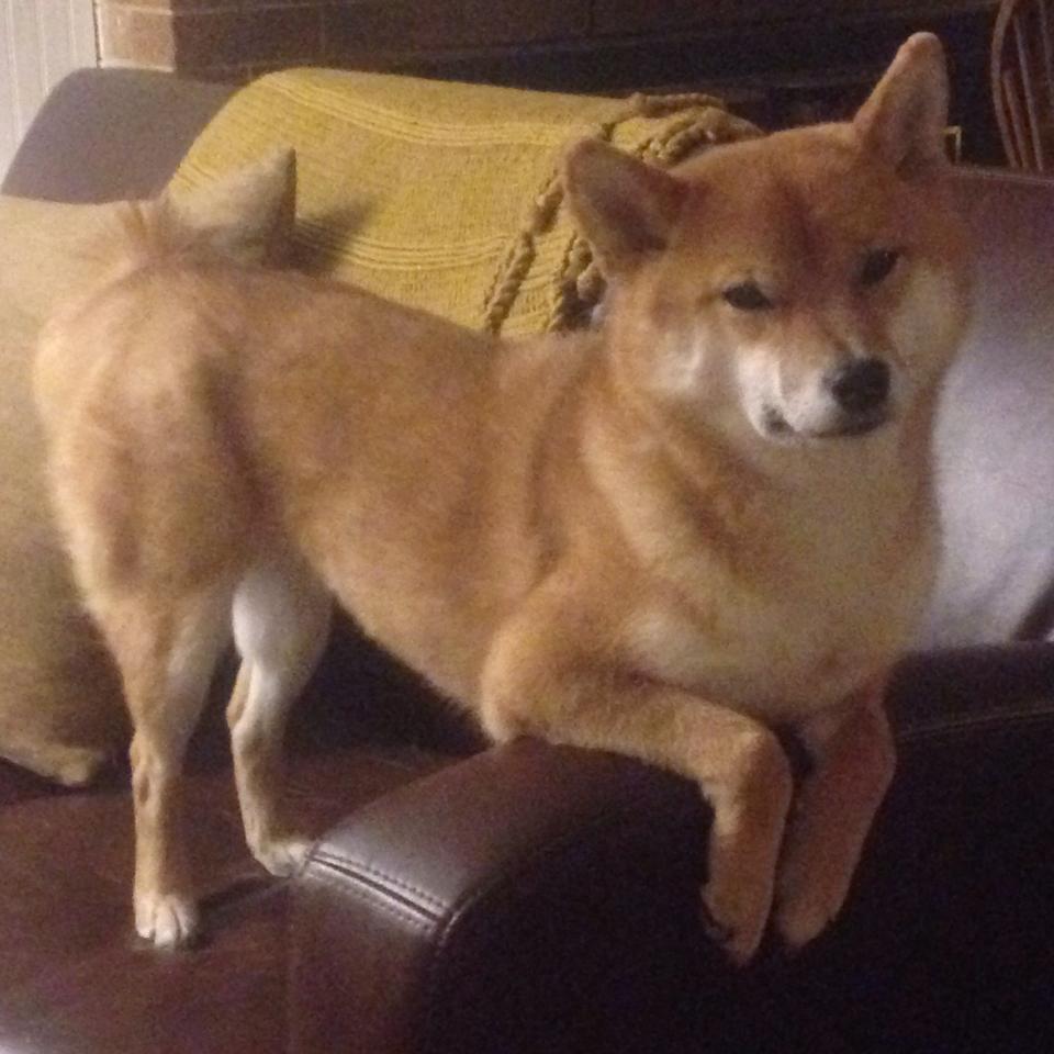 跨界风暴，当魔术险胜点燃奥兰多，锡安却在F1赛道上接管了巴林