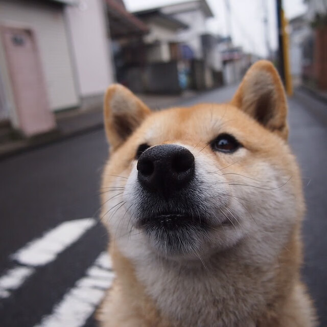 此夜非夜，此凯恩非凯恩，当焦点战在一个人脚下坍缩为绝对领域