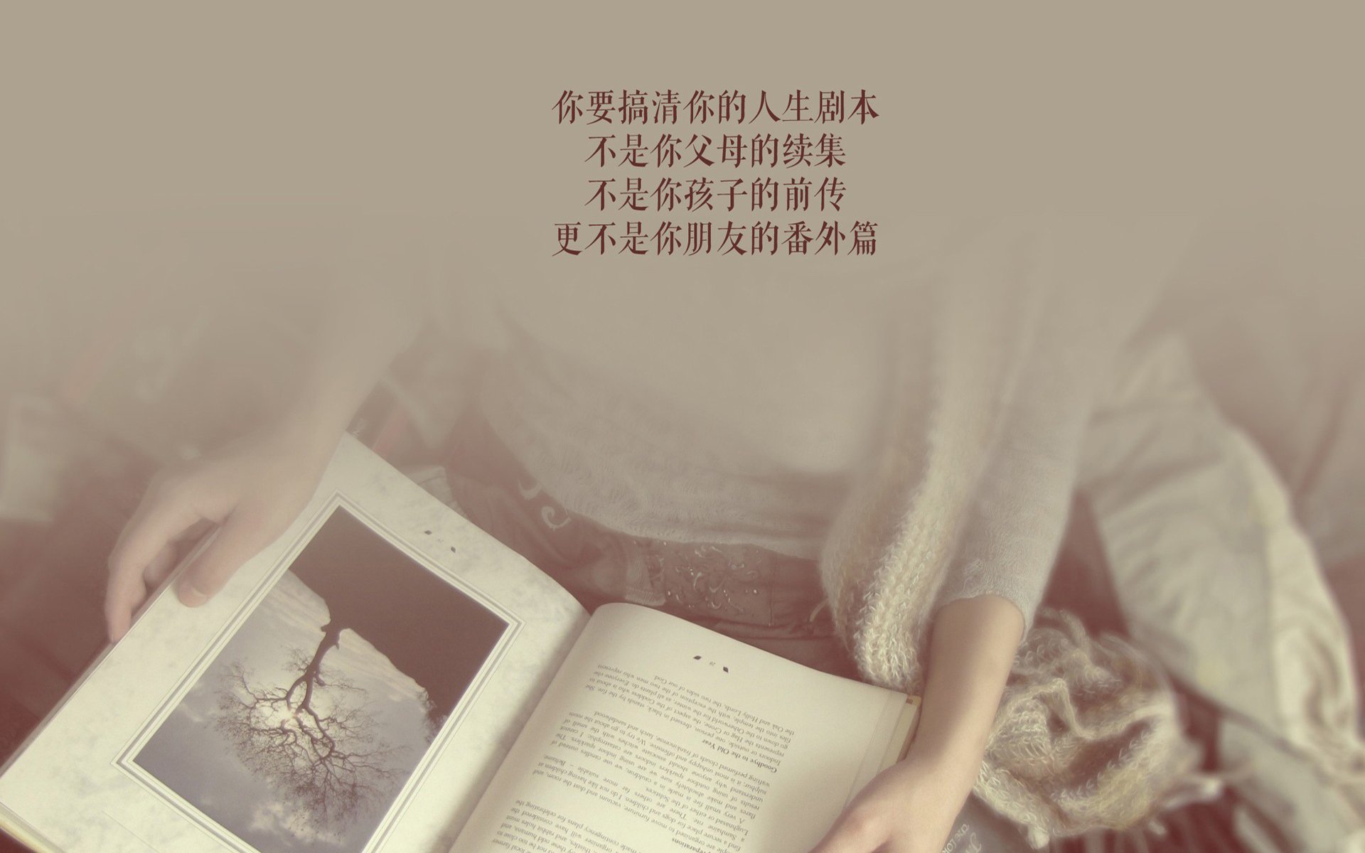 沙漠之狮的怒吼,2026世界杯A组关键战,摩洛哥大胜哥伦比亚,苏亚雷斯带队书写历史